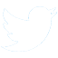 twitter-icon